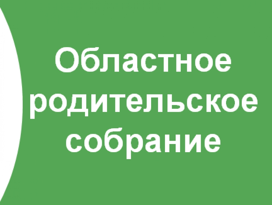 Областное родительское собрание &amp;quot;Профессия: выбираем вместе&amp;quot;.